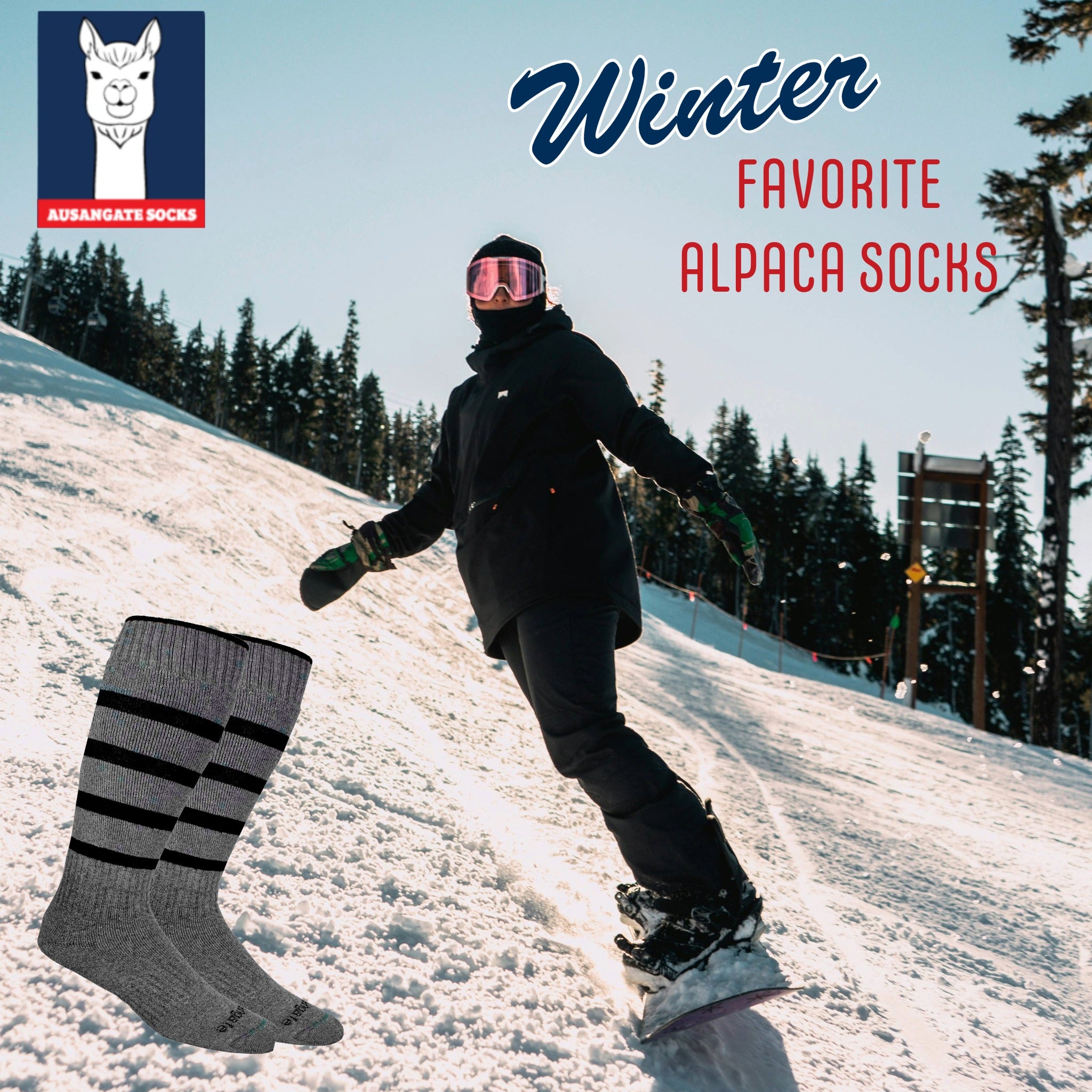 Alpaca performance socks in gray with black stripes